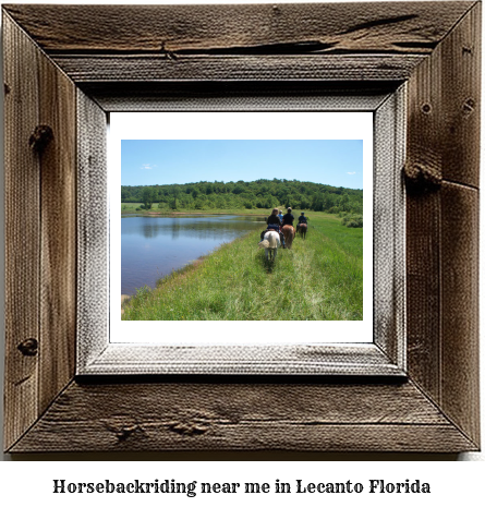 horseback riding near me in Lecanto, Florida